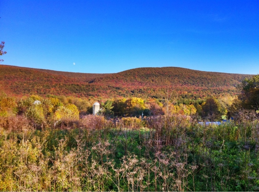 [Image: Image by @AnthonyQuintano - We have a #foliage sighting on US 7 just a few minutes north of Bennington, Vermont. #Fall #VT on Propic]