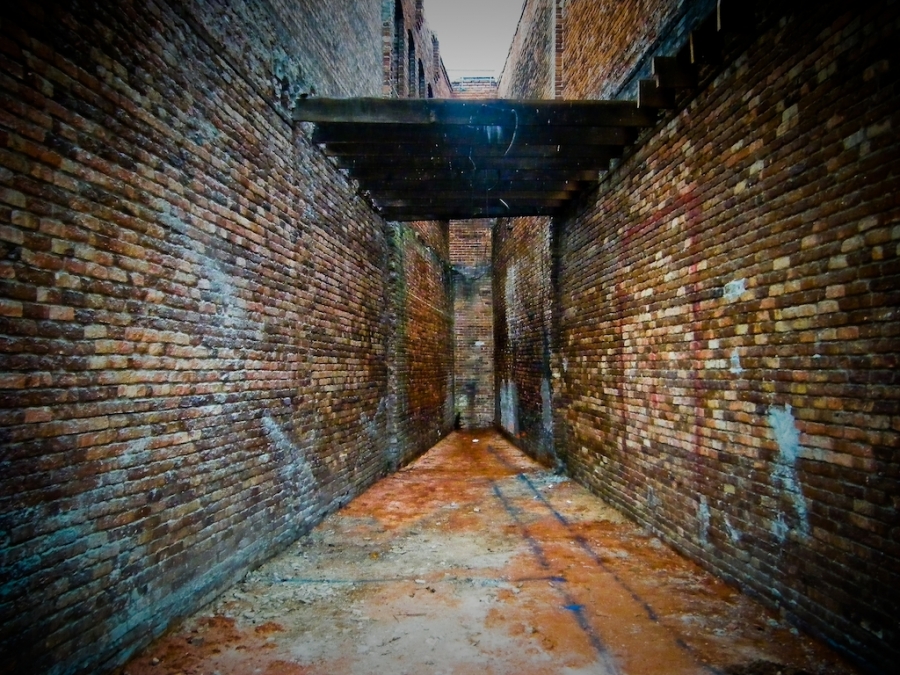 [Image: The wall by @adamrowens - A space between two old downtown buildings in Dothan, AL. It was turned into a flower shop. on Propic]