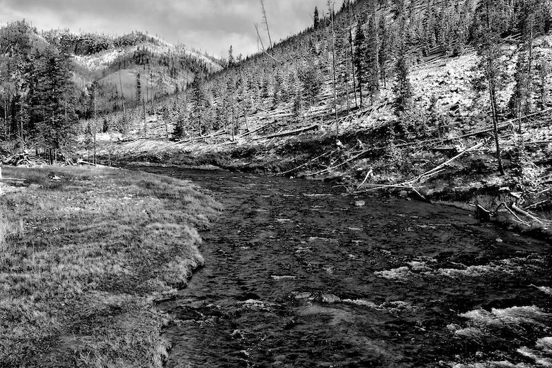 [Image: Yellowstone River, BW by @DanielPDunn - the Yellowstone River, in YNP, pretty wild place #tasra365 on Propic]
