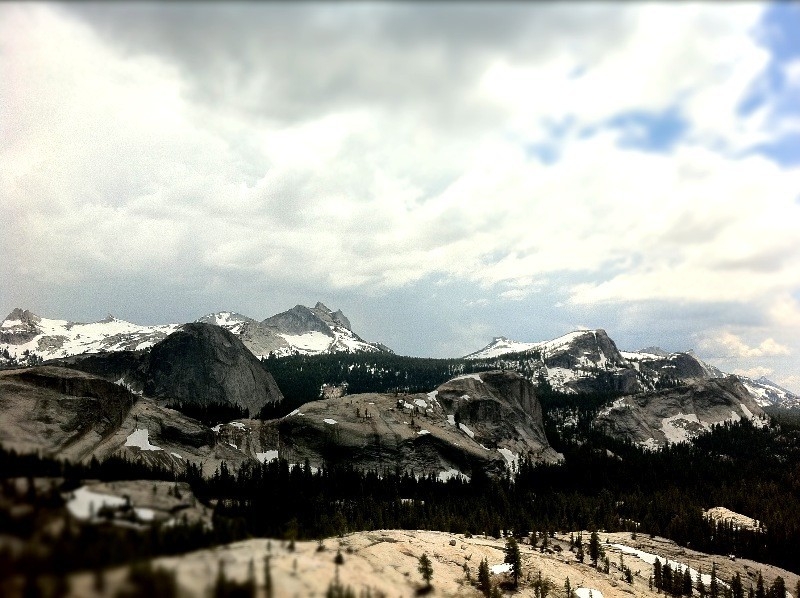 [Image: Image by @shawnreeder -  on Propic]