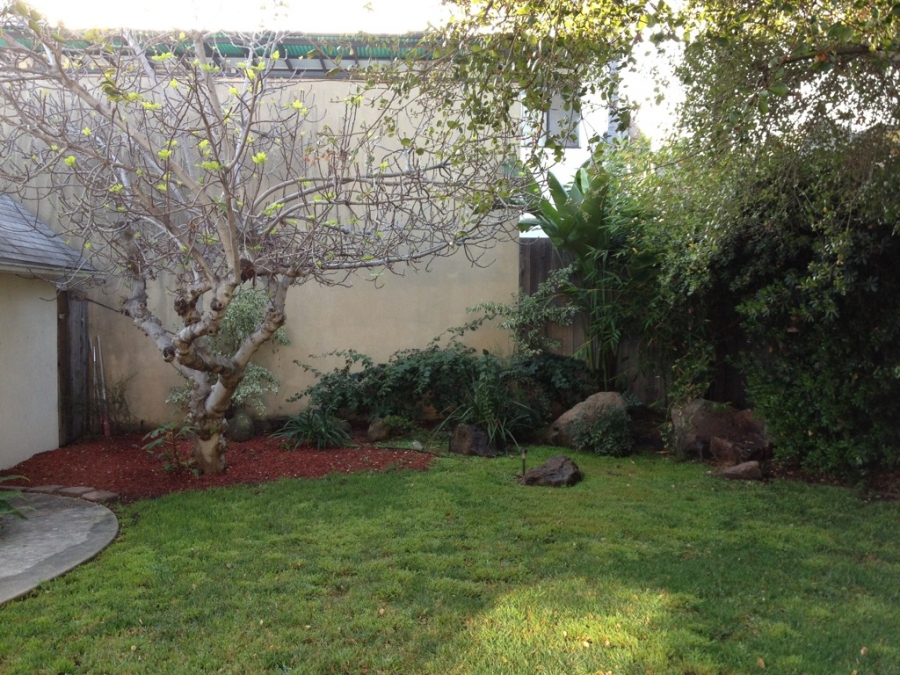 [Image: Image by @goforjared - The @SchneiderInfo wide angle is pretty cool! Vs normal on #iPhone4 on Propic]