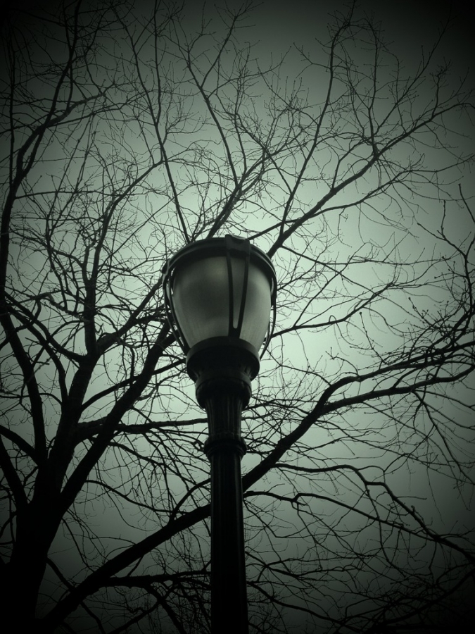 [Image: Image by @F9photo - Cold day in #NYC and test of new upload app on Propic]