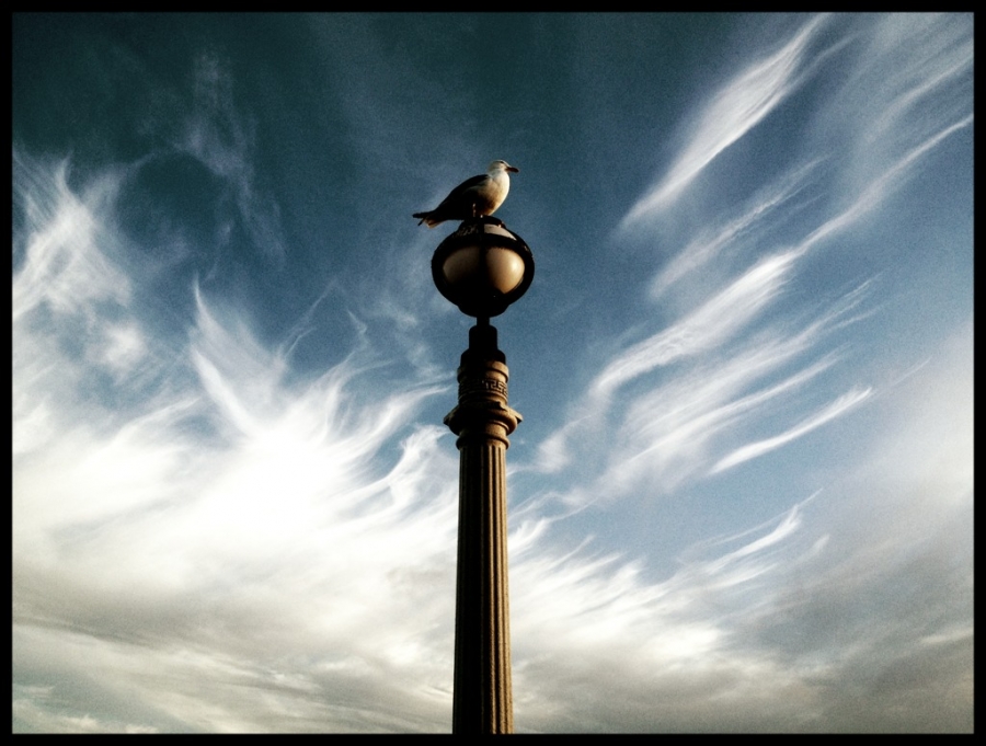 [Image: Image by @vincentlaforet - Nice to be home for a change! on Propic]