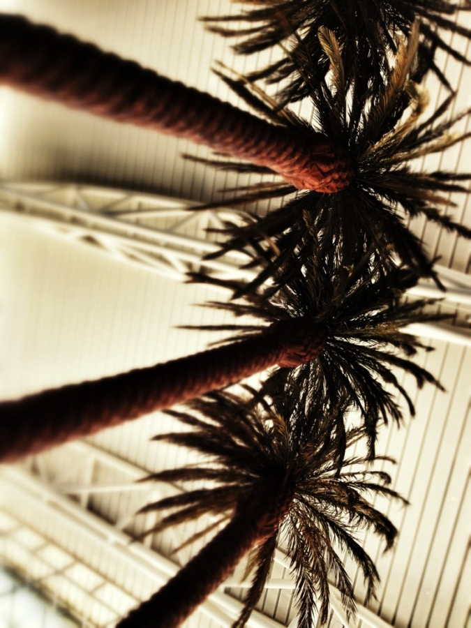 [Image: Image by @PhilipBloom - My last view of the Vegas sky before we head to Miami/ Key West. Memorable! ;) on Propic]