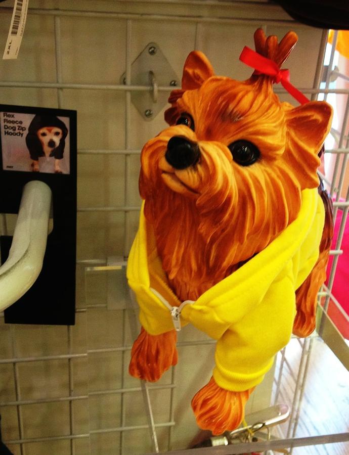 [Image: Image by @PhilipBloom - @cristinavaldivi actually bought this for you instead! Well for bruiser! :) on Propic]