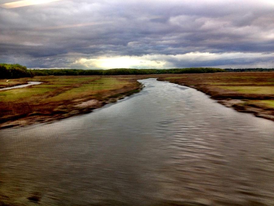 [Image: Image by @LordOfVisions - Speeding past the wetlands. on Propic]