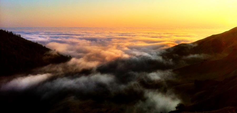 [Image: Photo by @drkanab - There is nothing better than witnessing something truly beautiful happen right before your eyes :) on Propic]