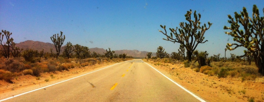 [Image: Photo by @drkanab - Rollin' through the Mojave with @mindrelic and @erichinesphotos on Propic]