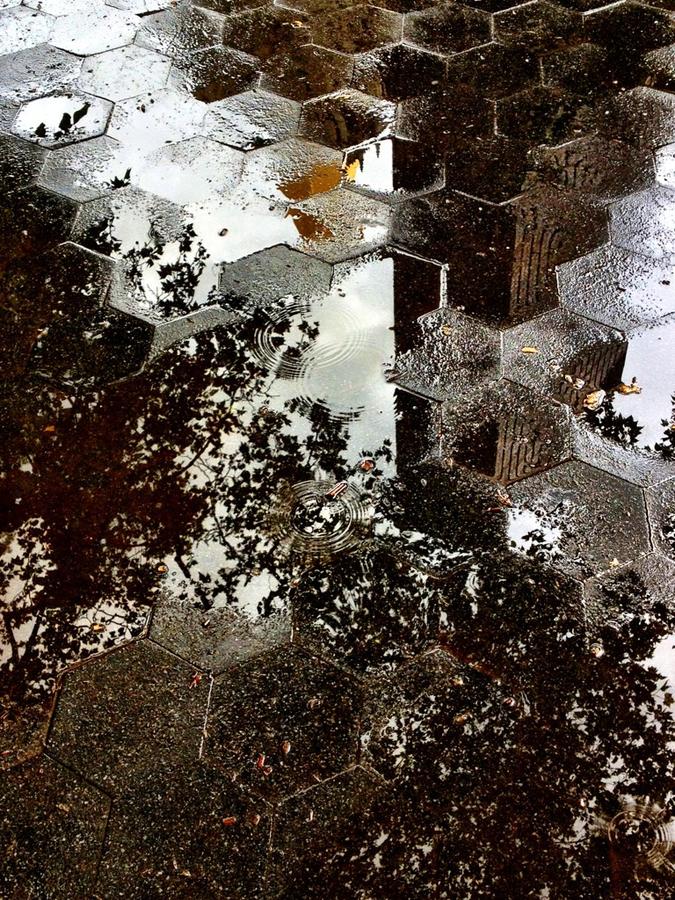 [Image: Hexagonal Puddles by @LordOfVisions - Hexagonal Puddles on Propic]