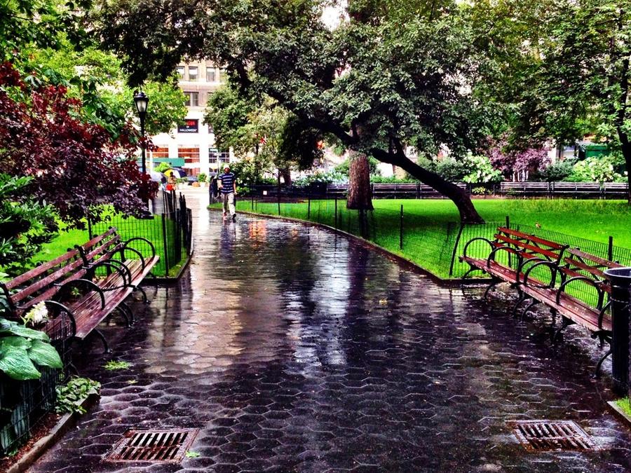 [Image: Facing Park Benches by @LordOfVisions - Facing park benches after an afternoon shower. Madison Square Park, NYC. on Propic]