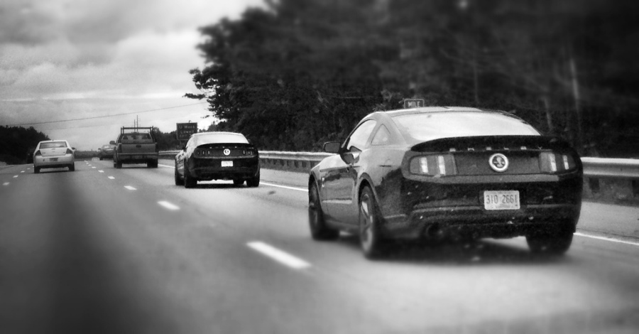 [Image: Photo by @MNS1974 - Dueling Shelby Mustangs on Propic]