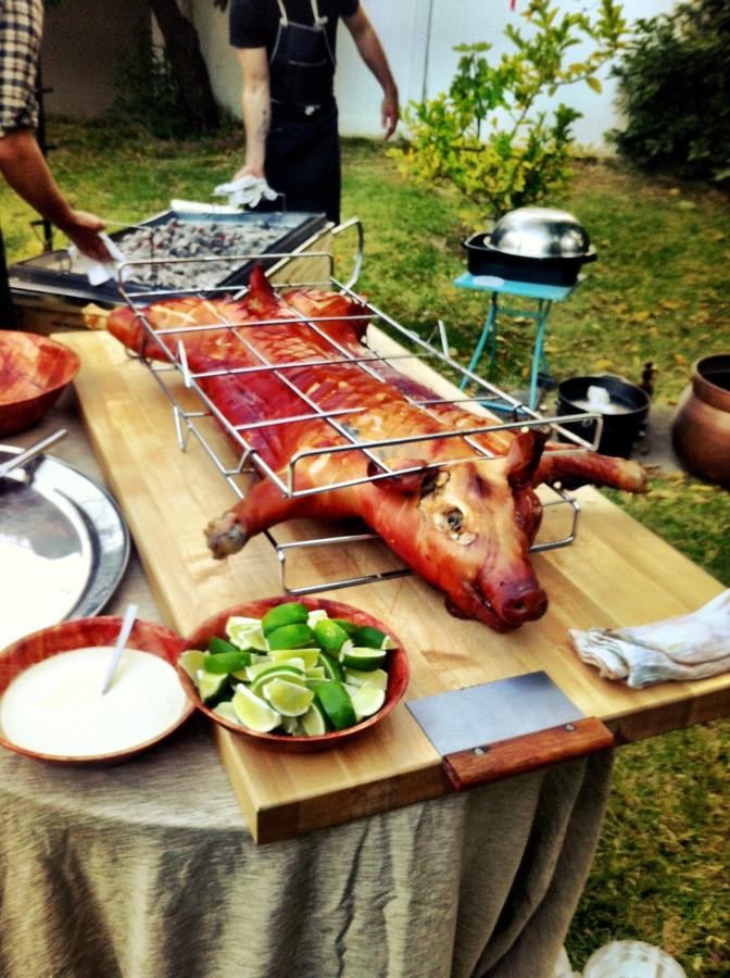 [Image: Image by @AlexBuono - Oh that?  Just a whole roasted pig at a backyard BBQ... on Propic]