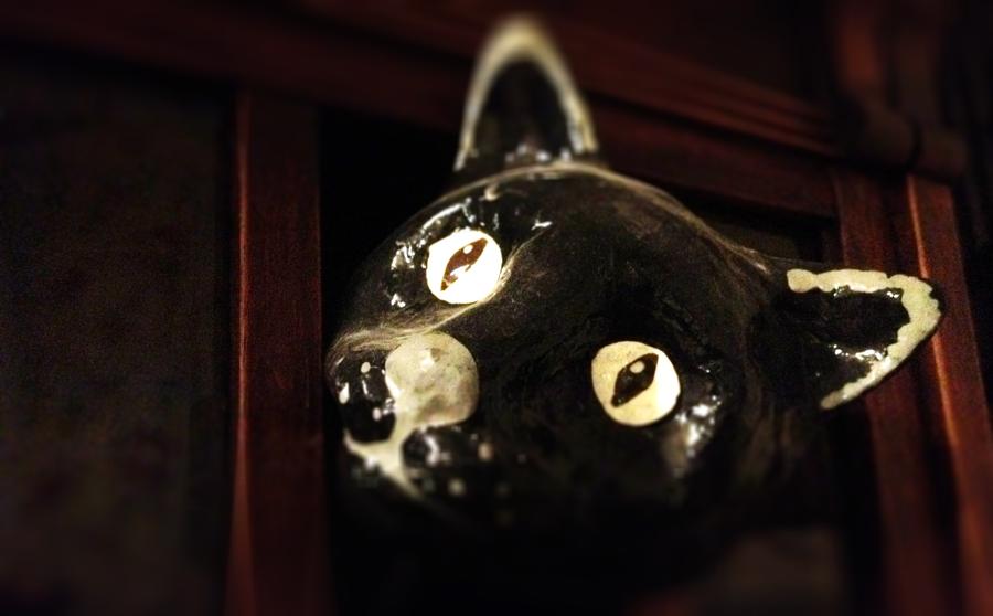 [Image: Peeking Cat by @LordOfVisions - I wonder what this cat is looking at? Must be interesting, scary perhaps? on Propic]