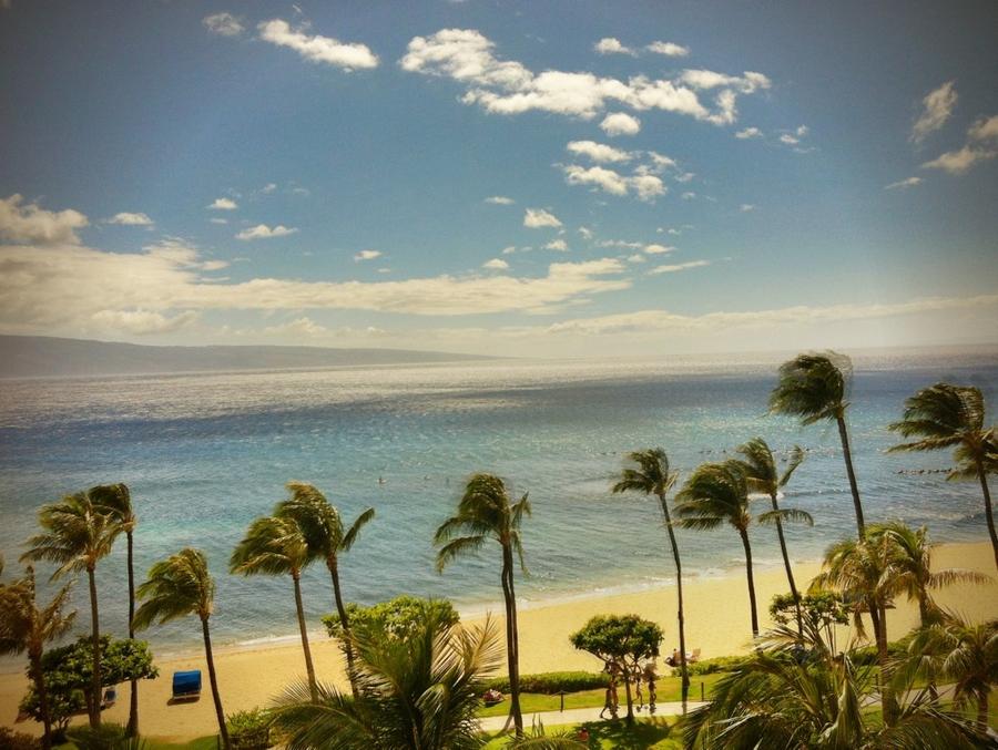 [Image: Image by @KrishanBansal - Another picture of the view. on Propic]