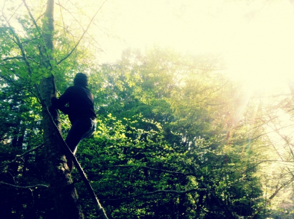 [Image: Image by @EricHinesPhotos - @nilomr up a tree today out in the forest on Propic]