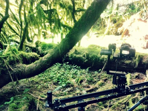 [Image: Image by @EricHinesPhotos - Shooting some timelapse with @drkanab in the Hoh Rainforest on the @KesslerCrane Cineslider & Rev Head on Propic]