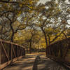 [Image: Bridge To Fall. by KrishanBansal]