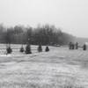 [Image: Finally snow! :)))) by fenner403]