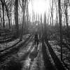 [Image: Mattison: Nature Extraordinaire  by RomanMF]