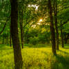 [Image: IMG_4892.jpg by KrishanBansal]
