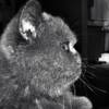 [Image: IMG 2475 by MNS1974]