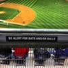 [Image: Bats and/or Balls #yankees @narrativelyny by emonhassan]