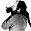 [Image: Image by wingrove]
