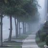 [Image: Fog in Suburbia-2.jpg by KrishanBansal]