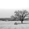 [Image: Winter Field by shutterdrone]