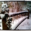 [Image: Snowy Rail by LordOfVisions]