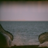[Image: Island view by iGert]