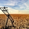 [Image: Image by EricHinesPhotos]