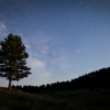 [Image: IMG 0031propic by EricHinesPhotos]