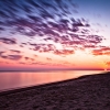 [Image: IMG 0313propic by EricHinesPhotos]