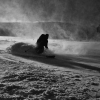 [Image: Guy Skiing by DanielPDunn]