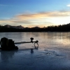 [Image: Photo by shawnreeder]