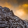 [Image: IMG 9932propic by EricHinesPhotos]