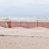 [Image: Beach by karenabad]