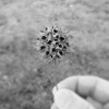 [Image: Photo by MNS1974]