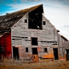 [Image: IMG 3160 by Papahaup]