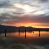 [Image: Image by EricHinesPhotos]