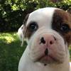 [Image: Image by goforjared]