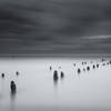 [Image: IMG 0739 Edit 2 by EricHinesPhotos]