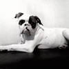 [Image: Buster 6 Months by goforjared]