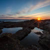 [Image:  L8C0094 by EricHinesPhotos]