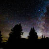 [Image: Starry Evergreens by KrishanBansal]