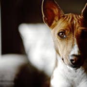 [Image: Gordon - D800 2 by SureReel]