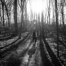 [Image: Mattison: Nature Extraordinaire  by RomanMF]