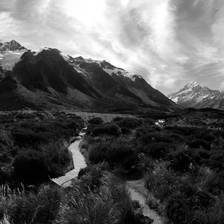 [Image: mtcookpano.jpg by Ryespypi]