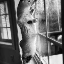 [Image: IMG 2664 by MNS1974]